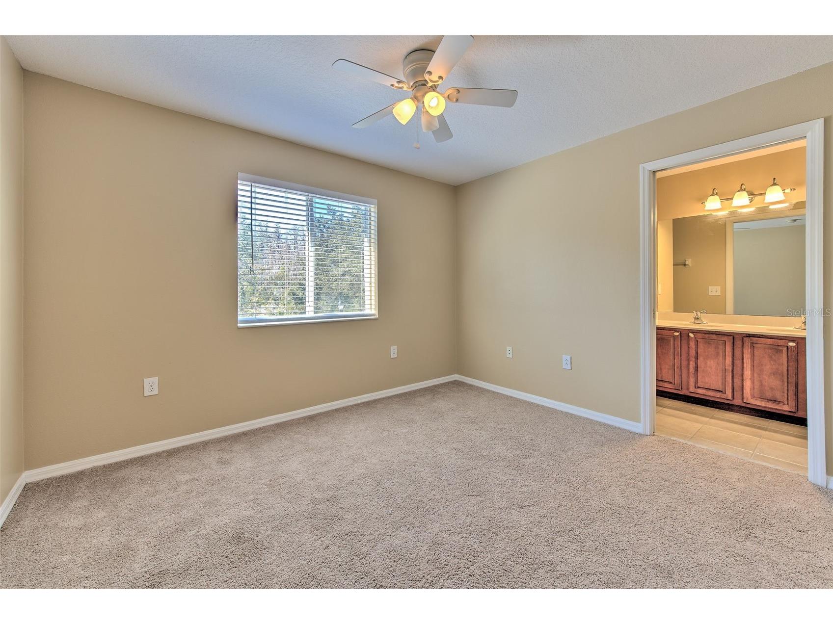 20424 Needletree Drive Tampa FL 33647 TB8470941 image19