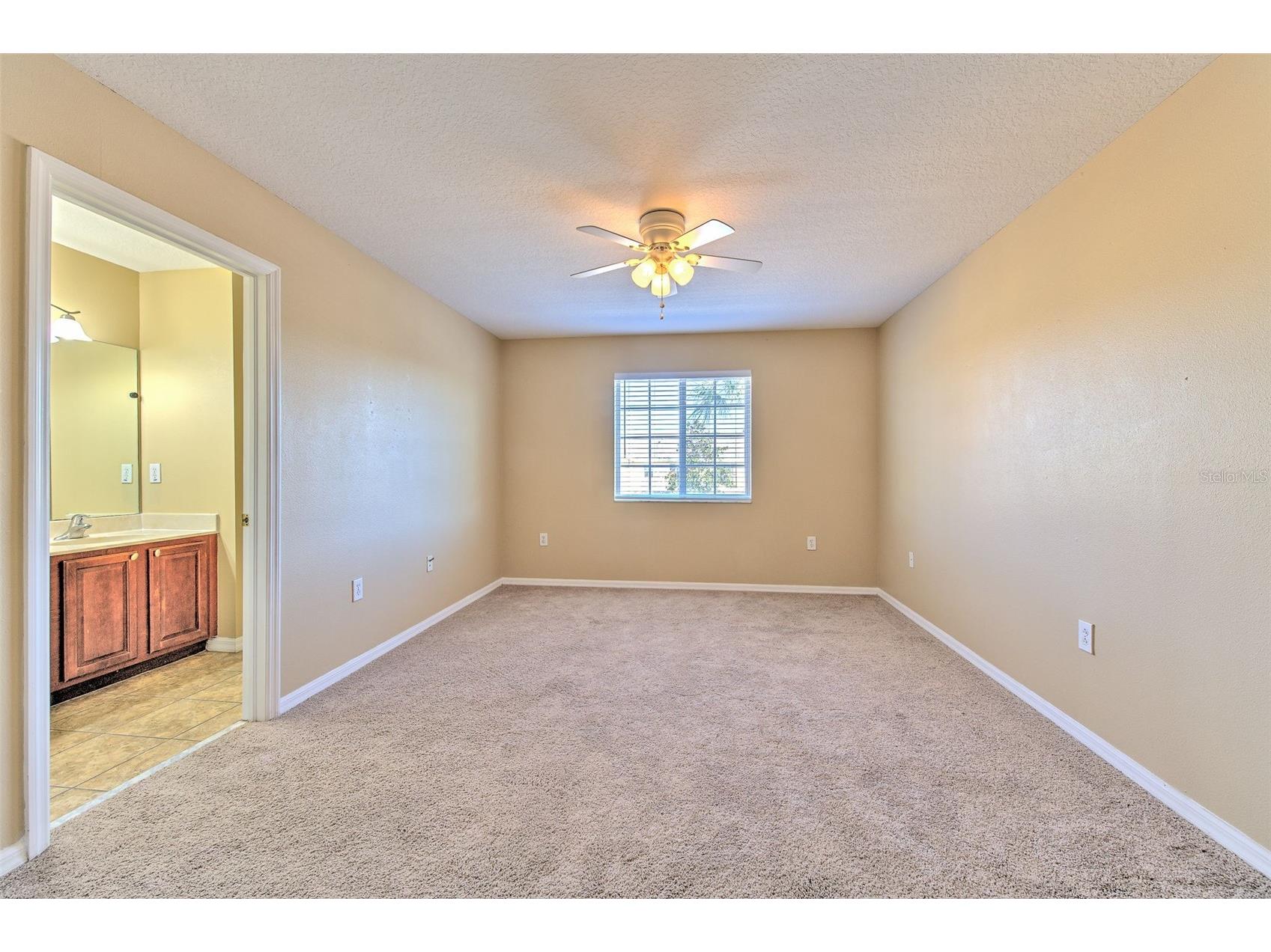 20424 Needletree Drive Tampa FL 33647 TB8470941 image26