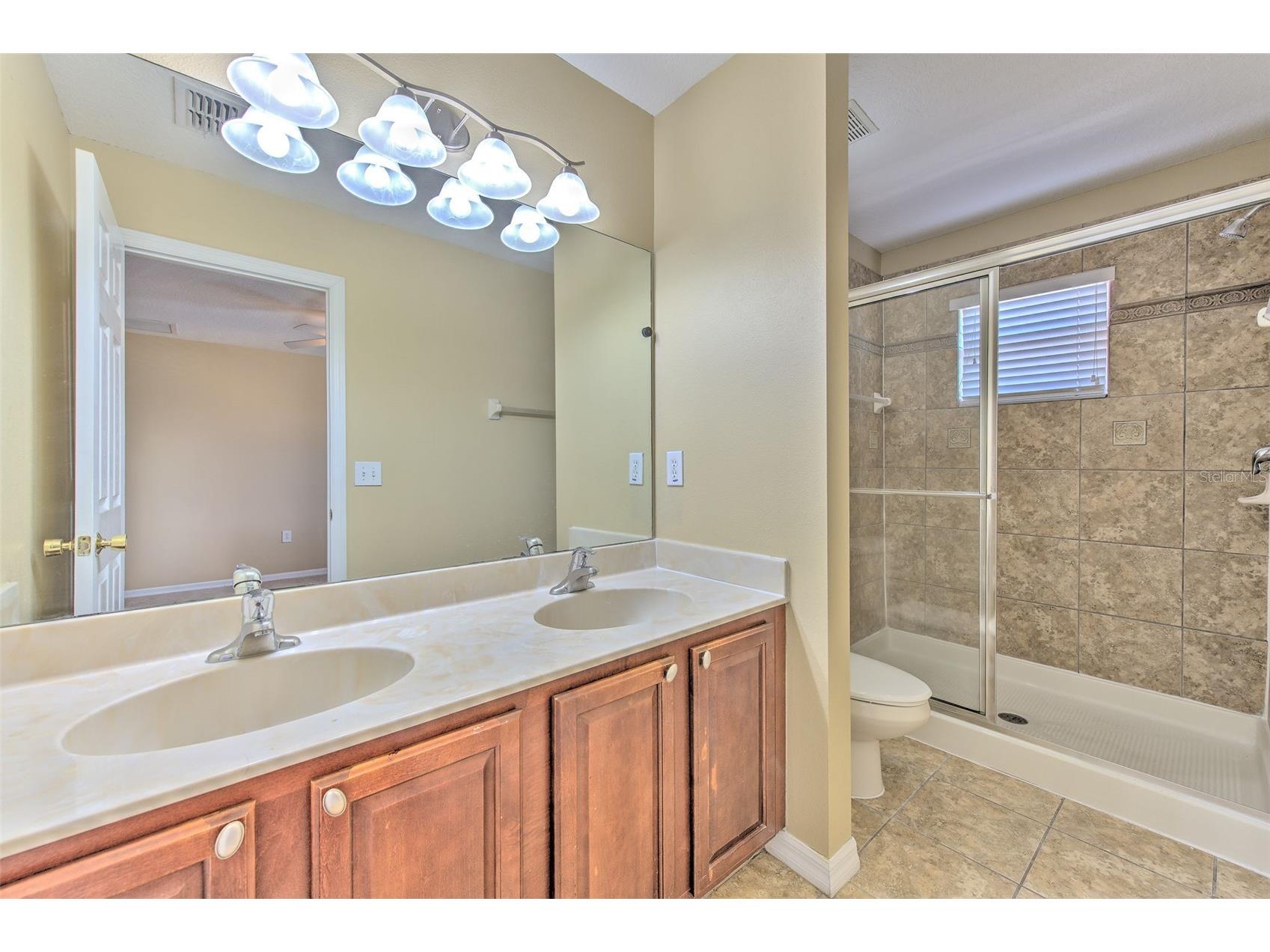 20424 Needletree Drive Tampa FL 33647 TB8470941 image28