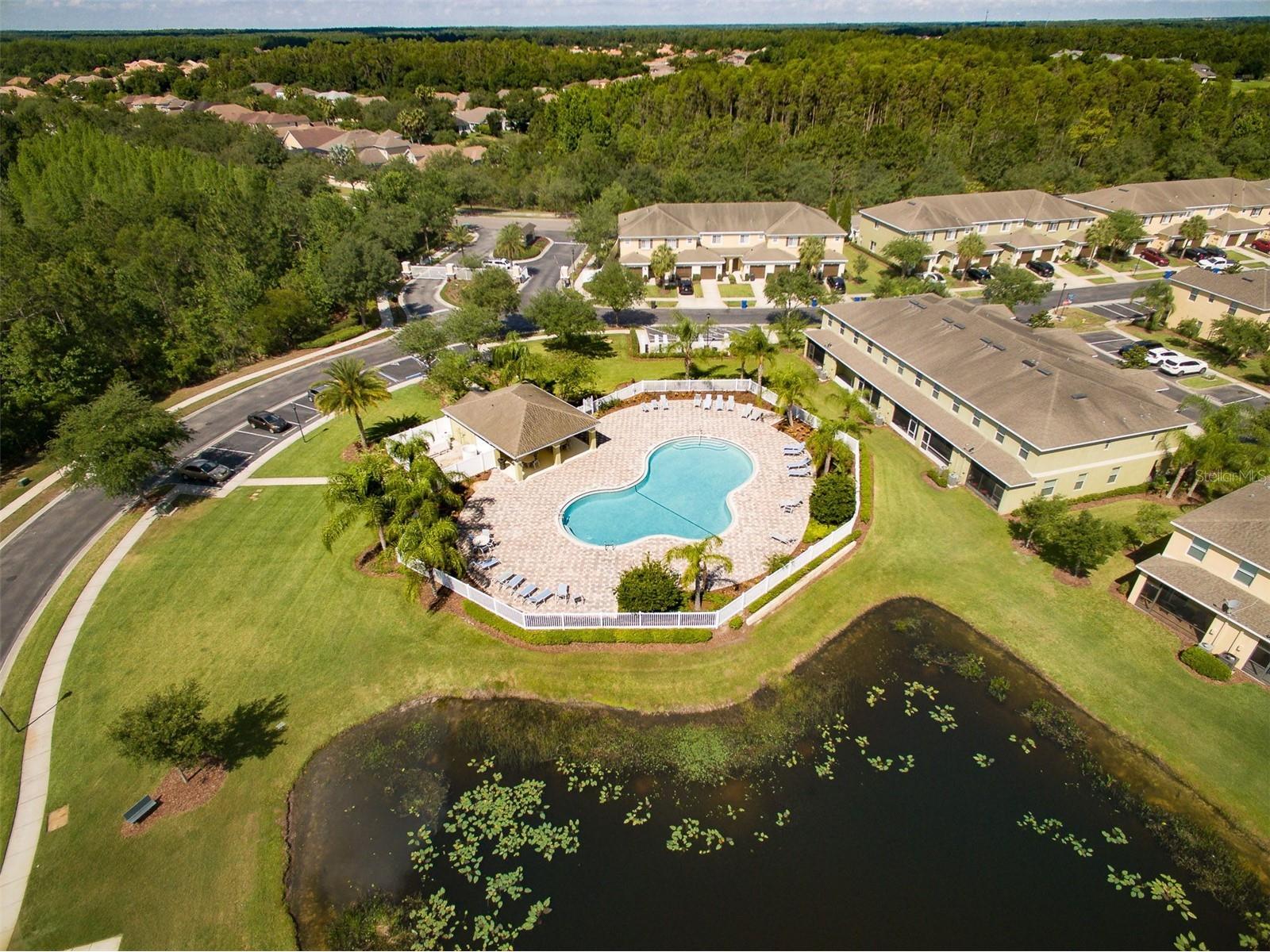 20424 Needletree Drive Tampa FL 33647 TB8470941 image36