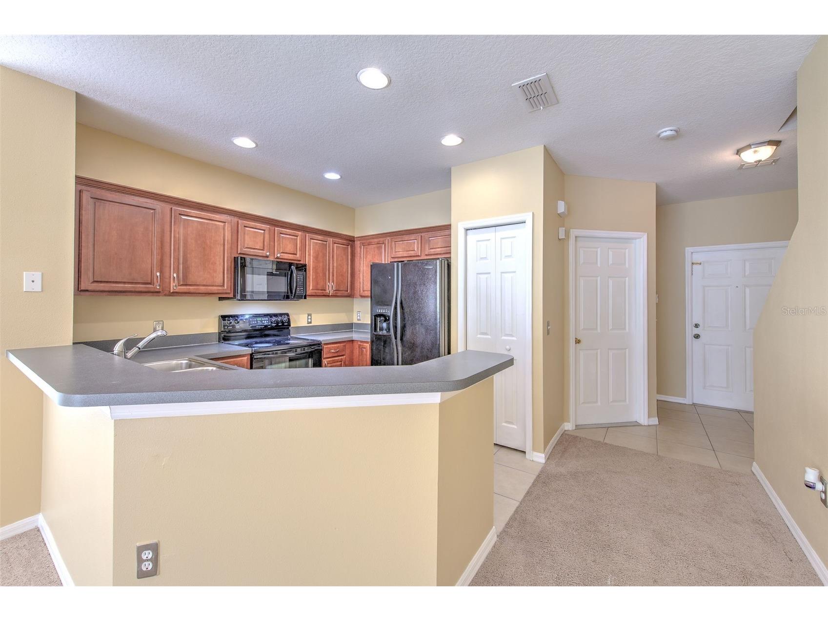 20424 Needletree Drive Tampa FL 33647 TB8470941 image7