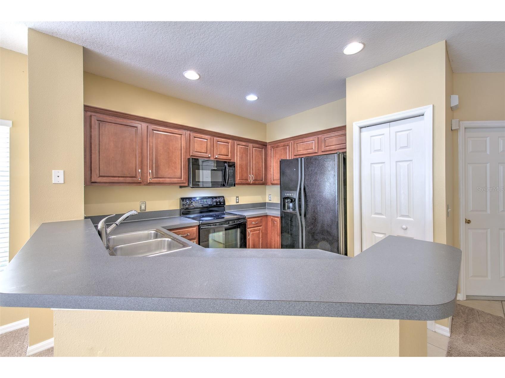 20424 Needletree Drive Tampa FL 33647 TB8470941 image8