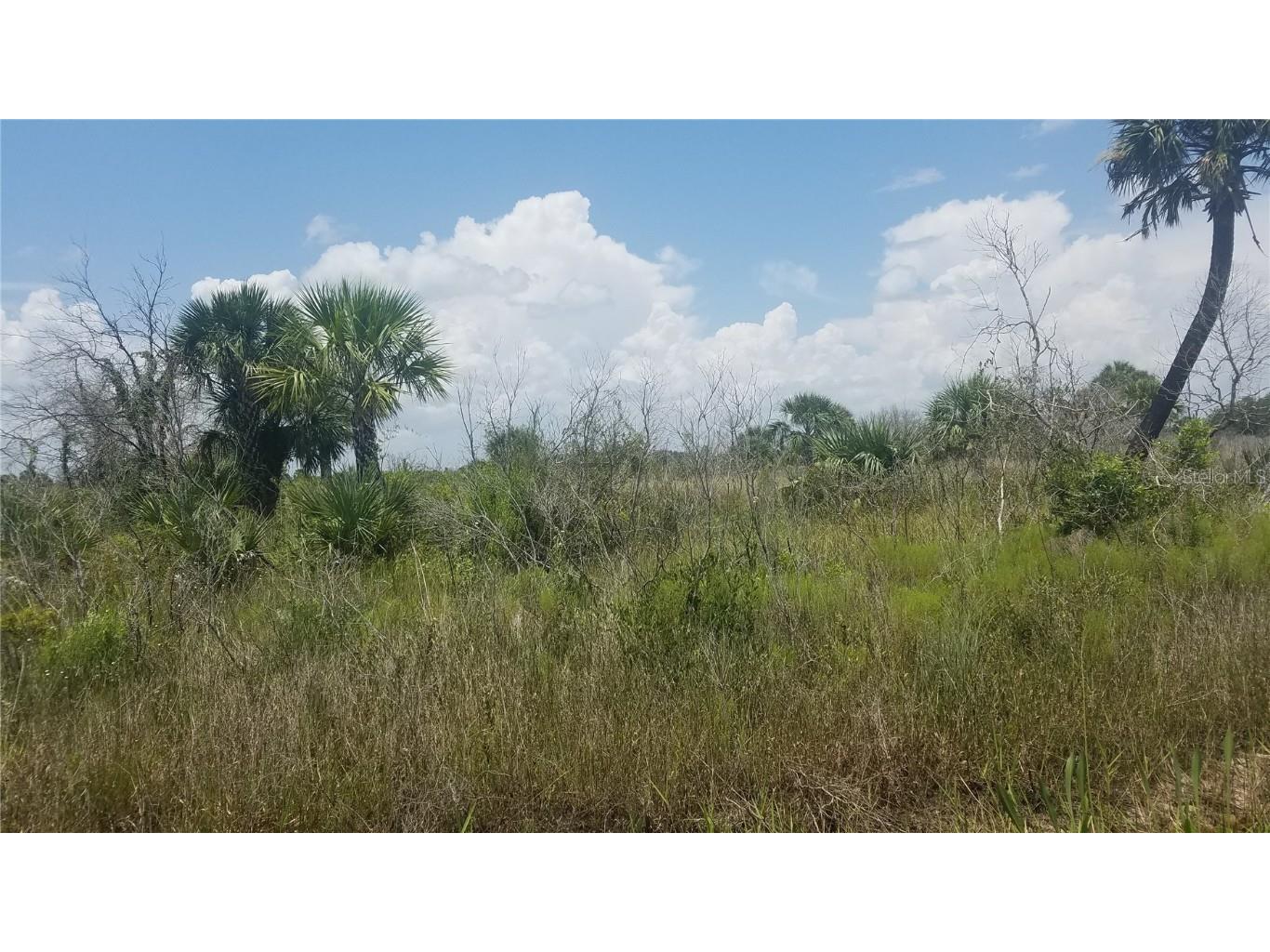 20424 NW 290th Street Okeechobee FL 34972 OK222250 image1