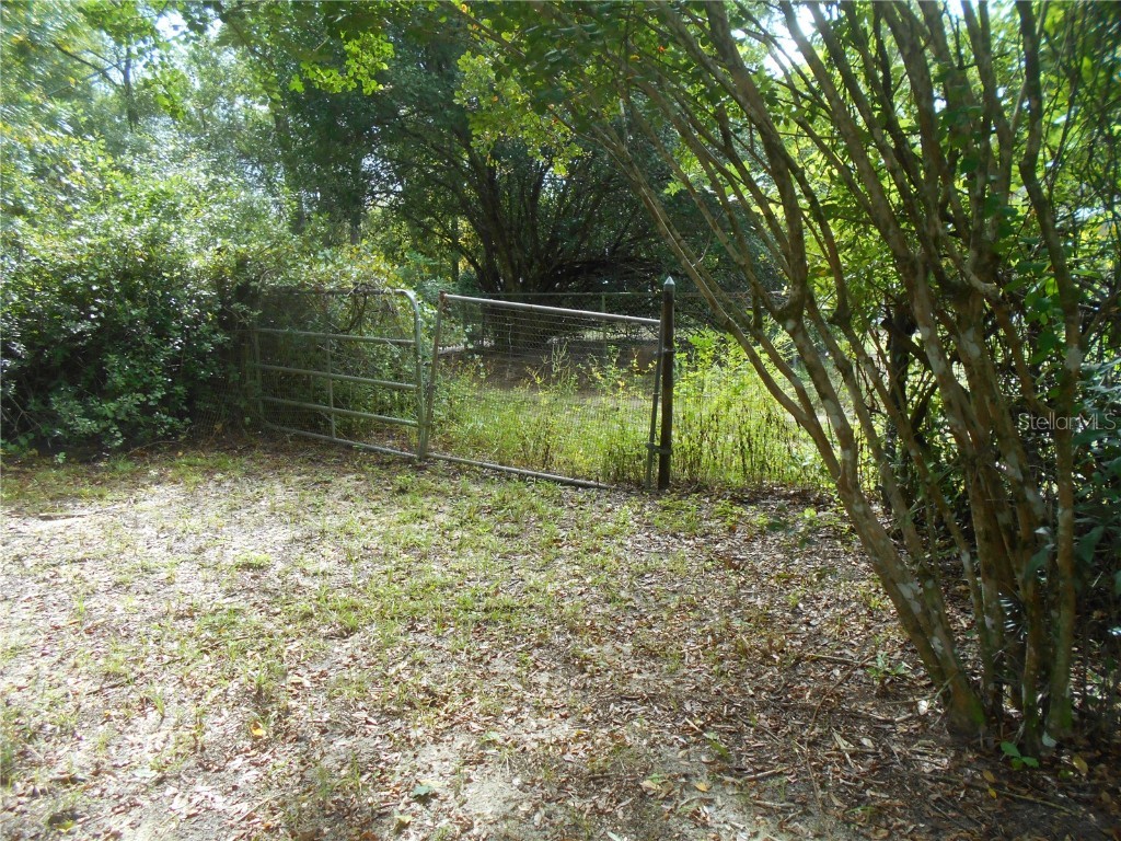 20425 NE 143rd Street Fort Mc Coy FL 32134 OM710940 image22