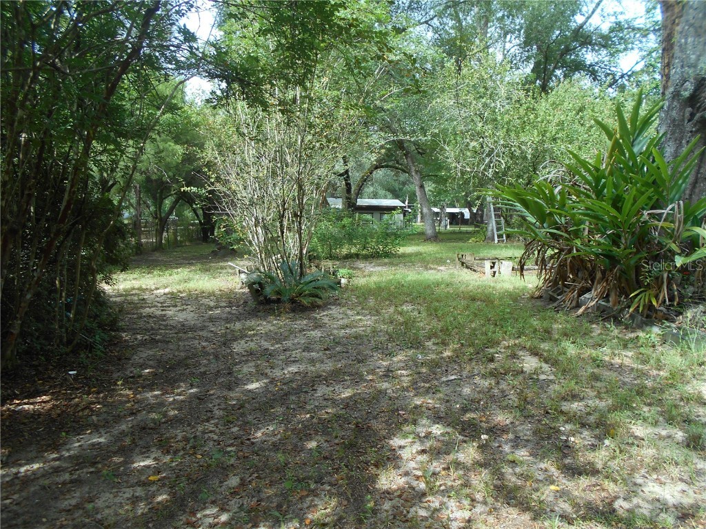 20425 NE 143rd Street Fort Mc Coy FL 32134 OM710940 image24