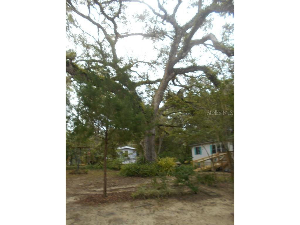 20425 NE 143rd Street Fort Mc Coy FL 32134 OM710940 image31