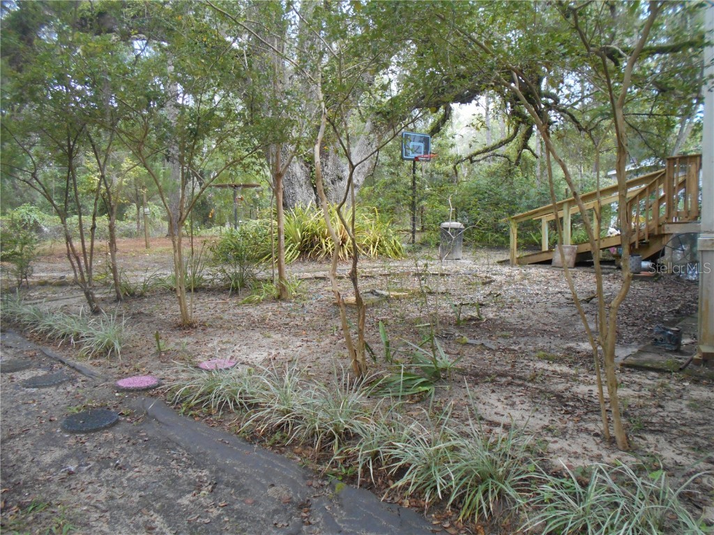 20425 NE 143rd Street Fort Mc Coy FL 32134 OM710940 image33