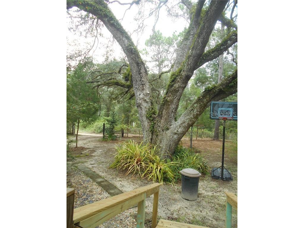 20425 NE 143rd Street Fort Mc Coy FL 32134 OM710940 image38