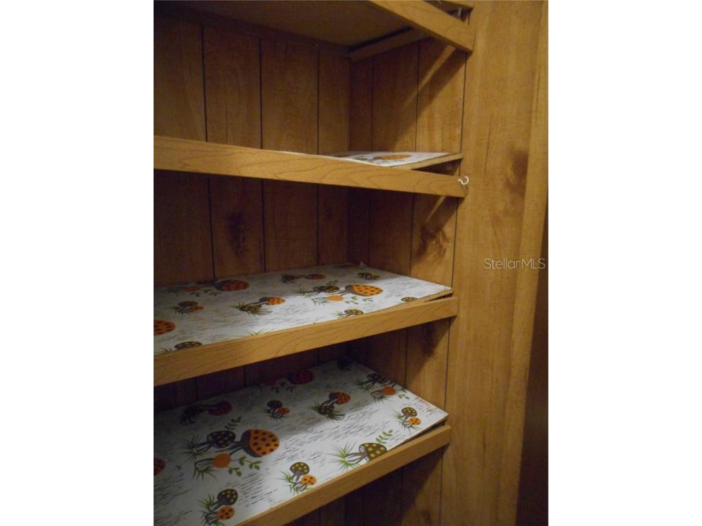 20425 NE 143rd Street Fort Mc Coy FL 32134 OM710940 image61