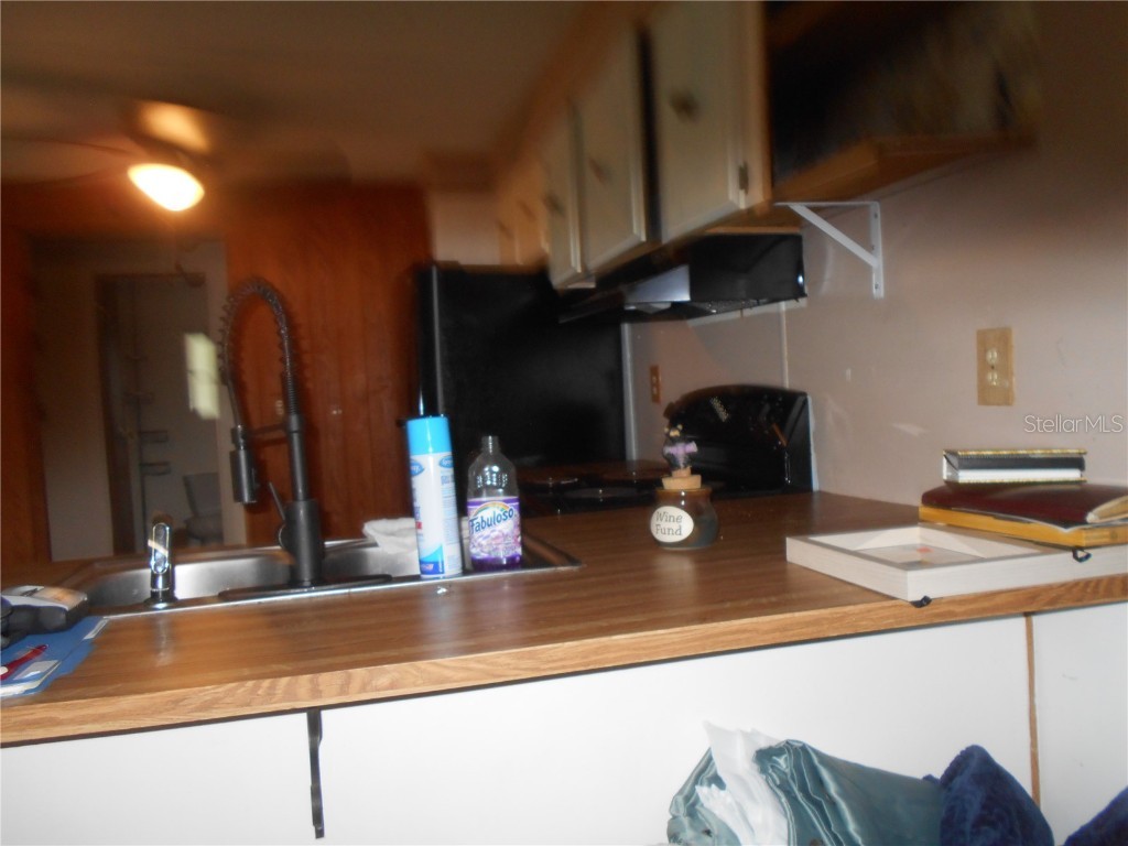 20425 NE 143rd Street Fort Mc Coy FL 32134 OM710940 image68