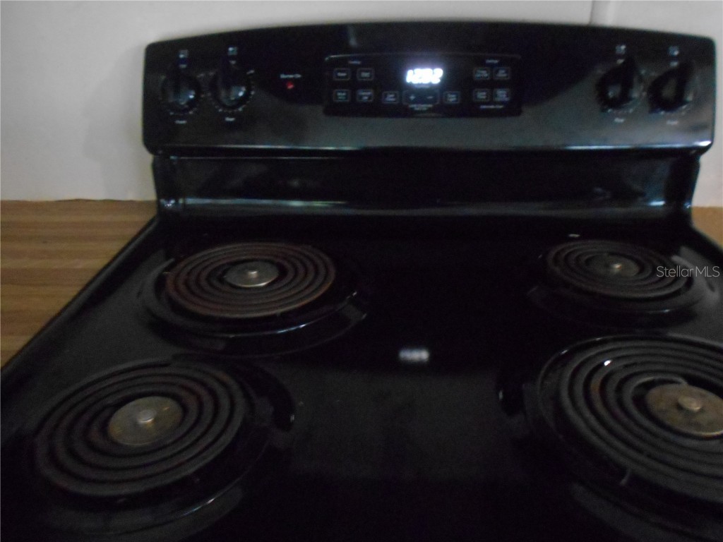 20425 NE 143rd Street Fort Mc Coy FL 32134 OM710940 image70