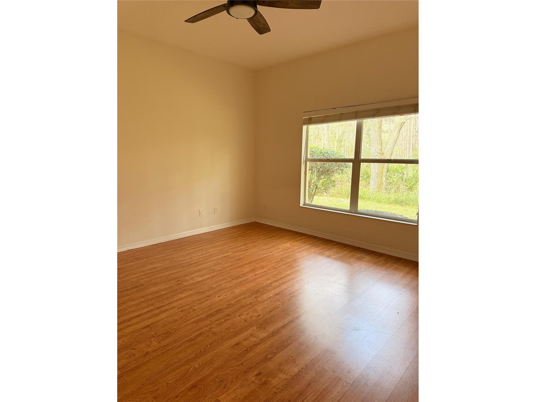 20428 Harvest Oak Court Tampa FL 33647 O6380593 image13