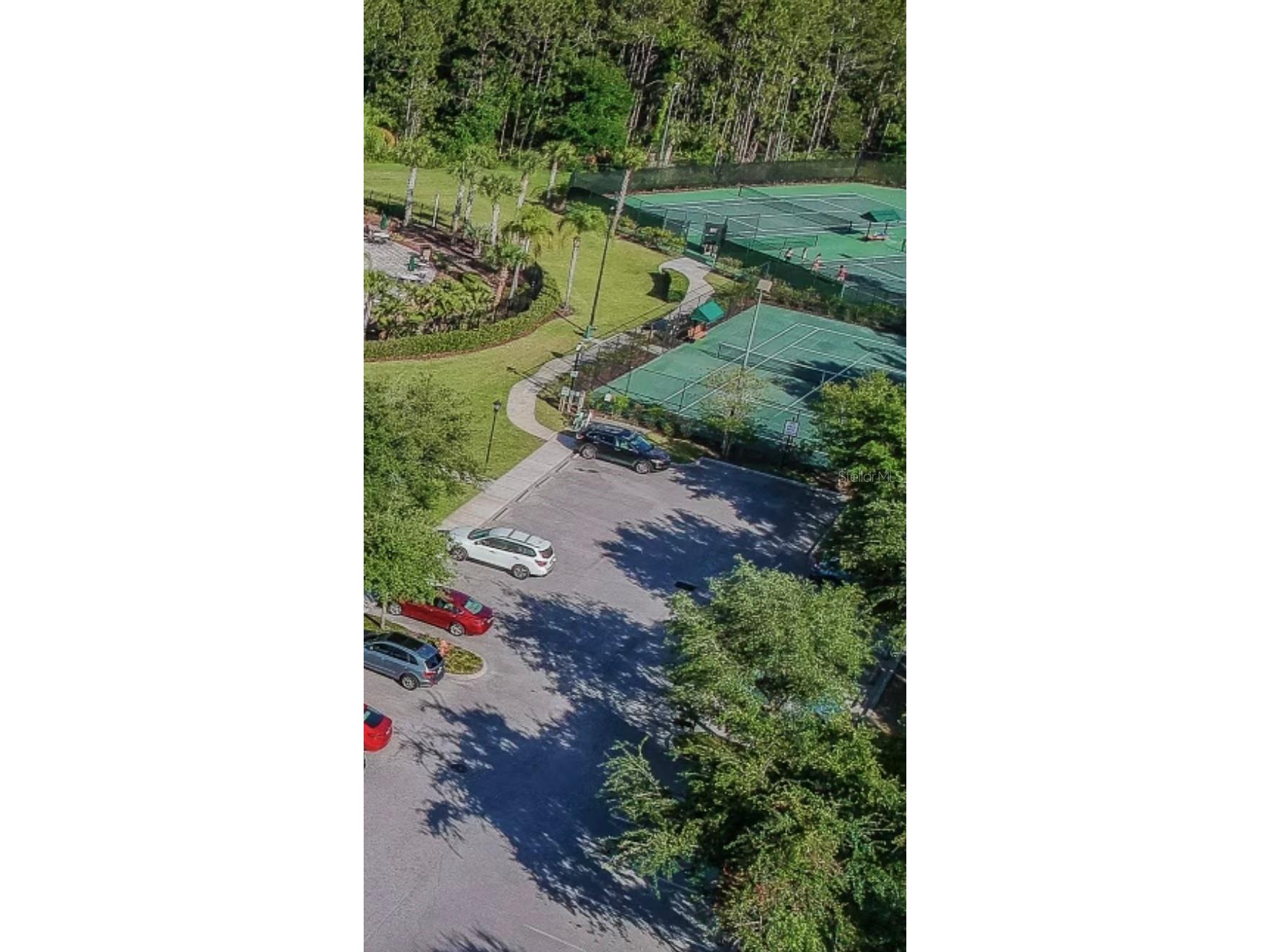 20428 Harvest Oak Court Tampa FL 33647 O6380593 image22