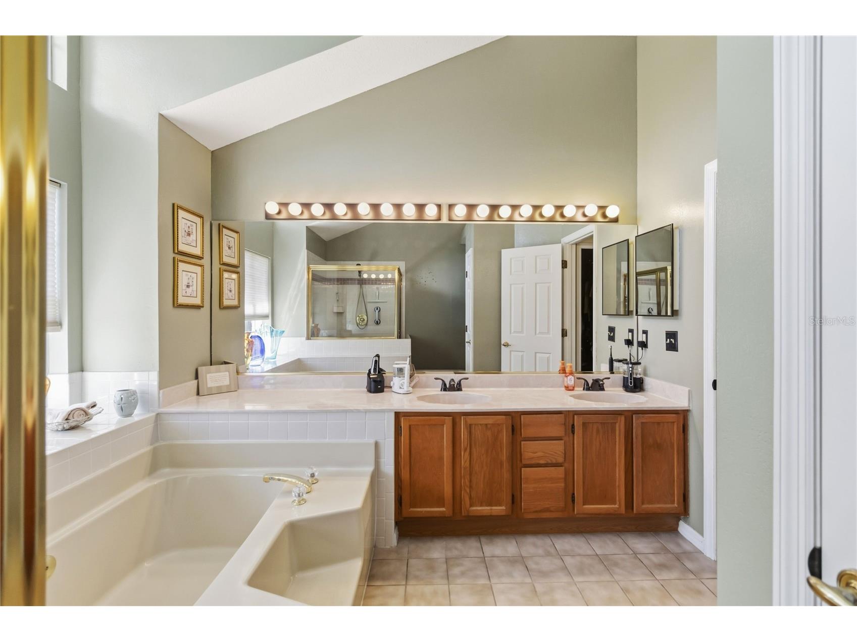 2043 Sawgrass Drive Apopka FL 32712 O6400099 image17