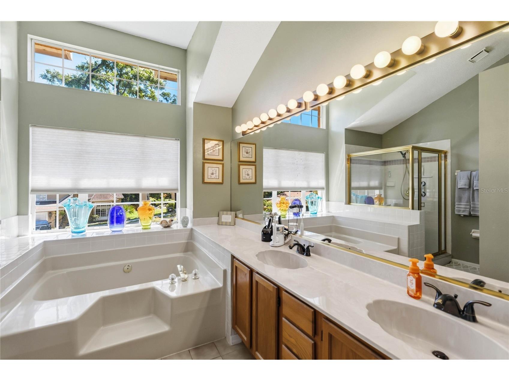 2043 Sawgrass Drive Apopka FL 32712 O6400099 image18