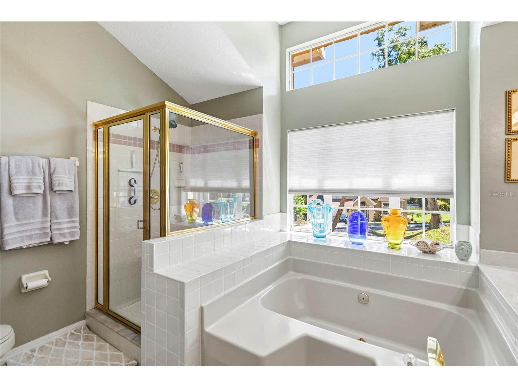 2043 Sawgrass Drive Apopka FL 32712 O6400099 image19