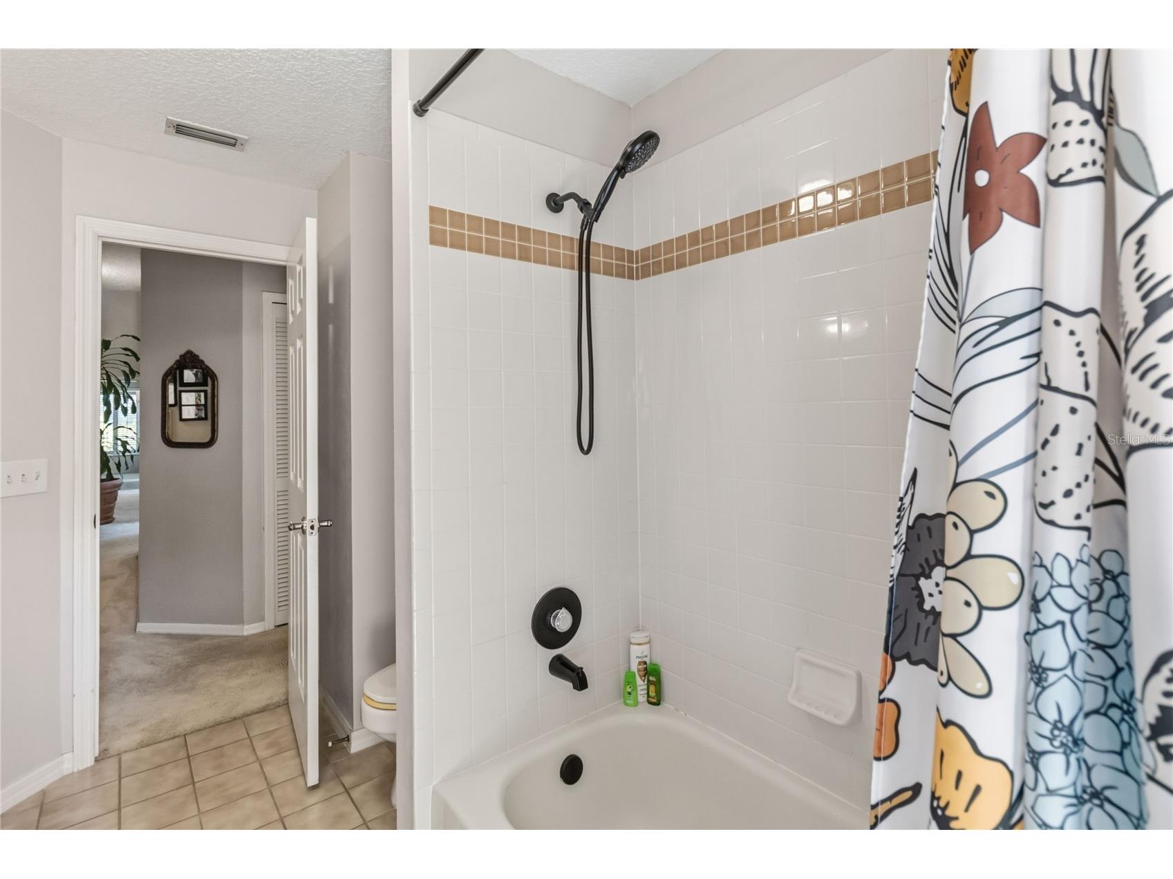 2043 Sawgrass Drive Apopka FL 32712 O6400099 image24