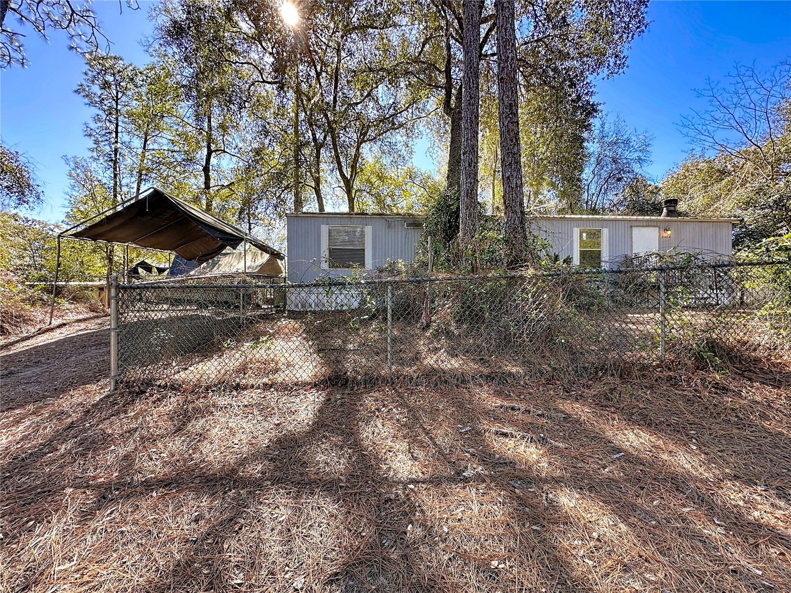 20434 NE 143rd Place Salt Springs FL 32134 OM718882 image1