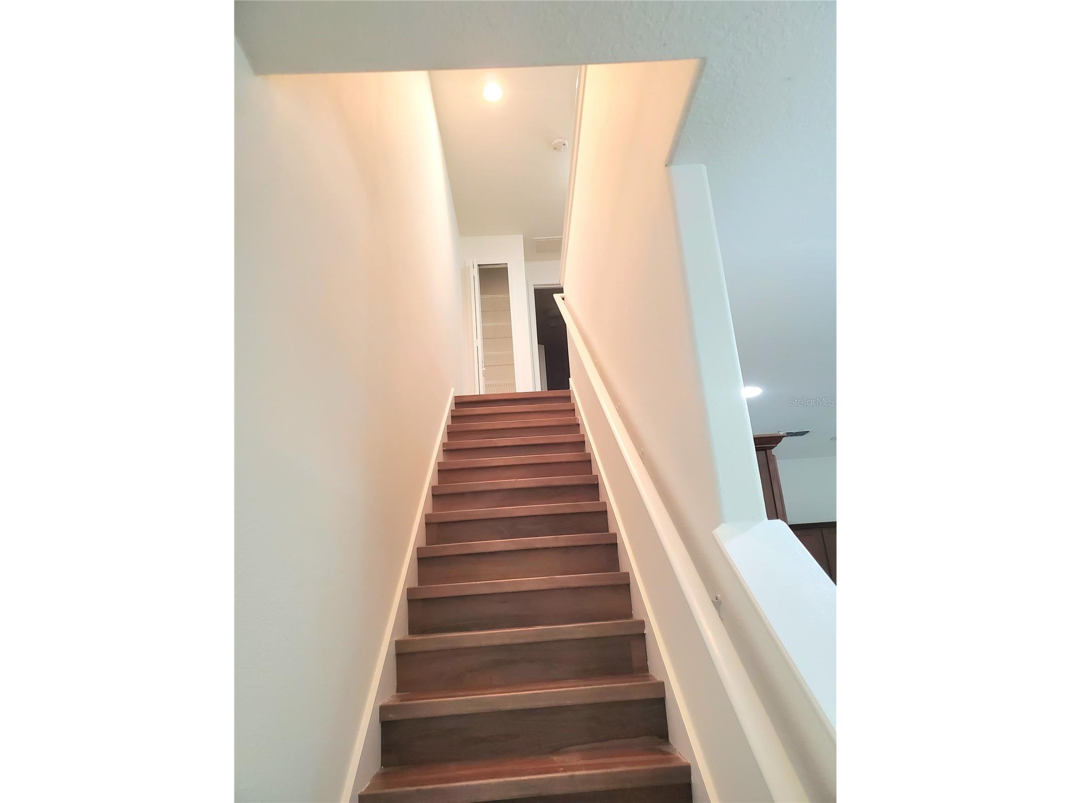 2044 Hawks View Drive Ruskin FL 33570 TB8484734 image6