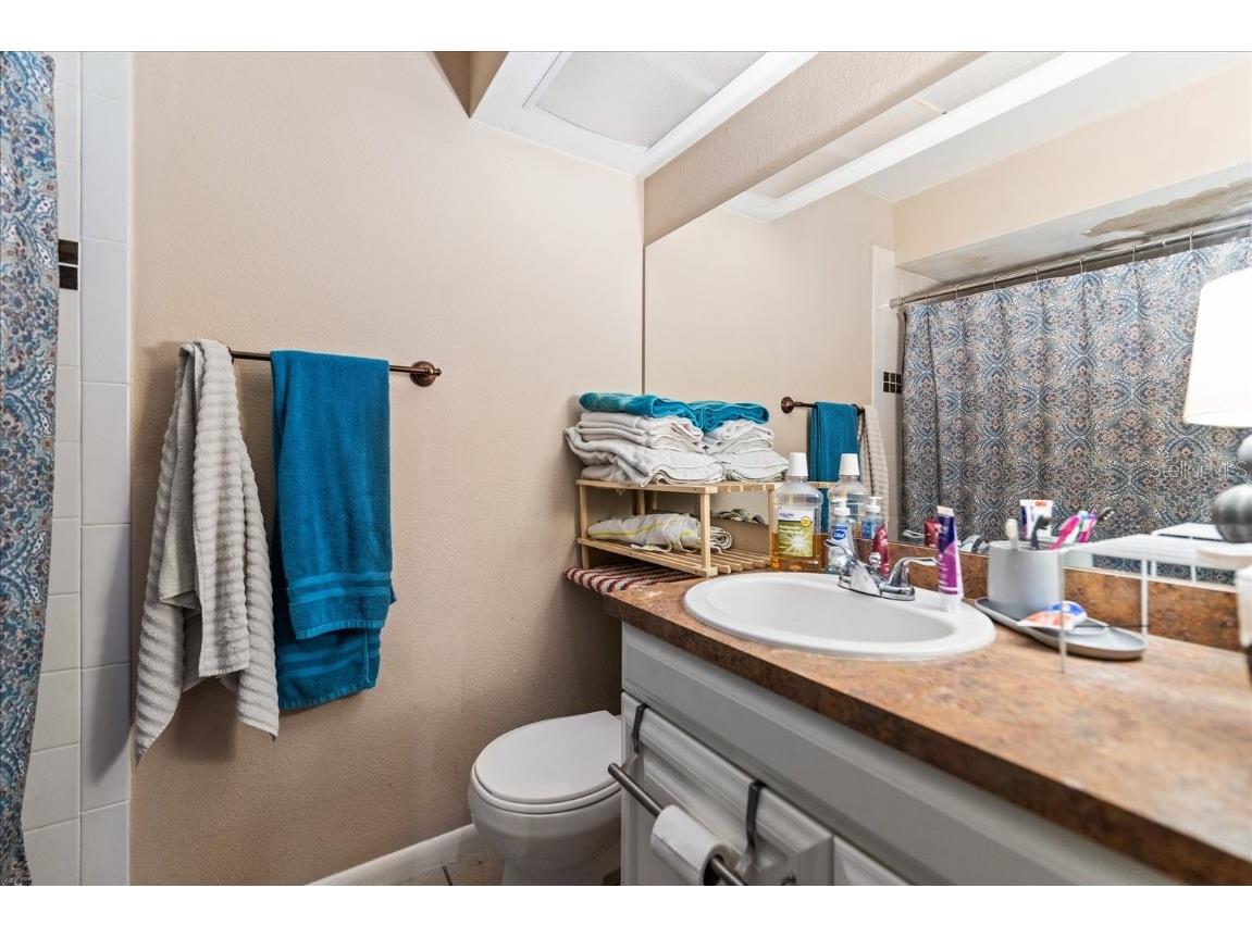 2044 Sheffield Court Oldsmar FL 34677 TB8327277 image19