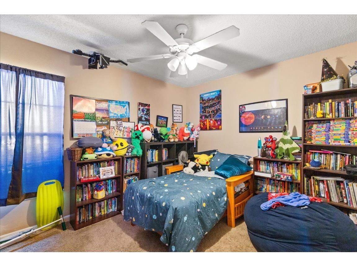 2044 Sheffield Court Oldsmar FL 34677 TB8327277 image20