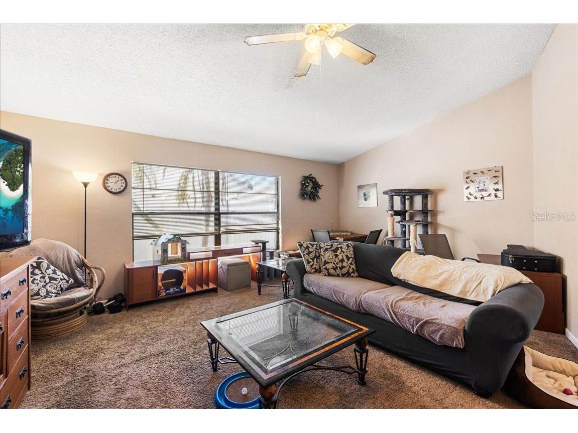 2044 Sheffield Court Oldsmar FL 34677 TB8327277 image4