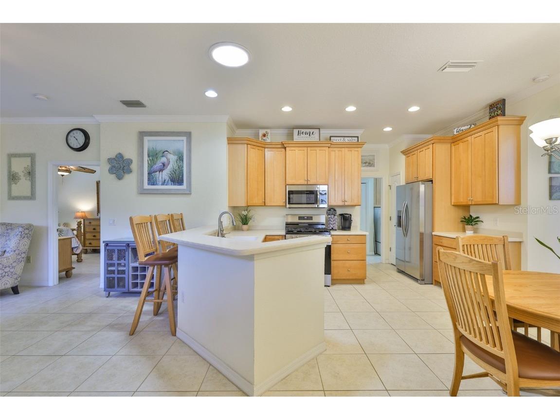 2044 Sifield Greens Way Sun City Center FL 33573 TB8415170 image11