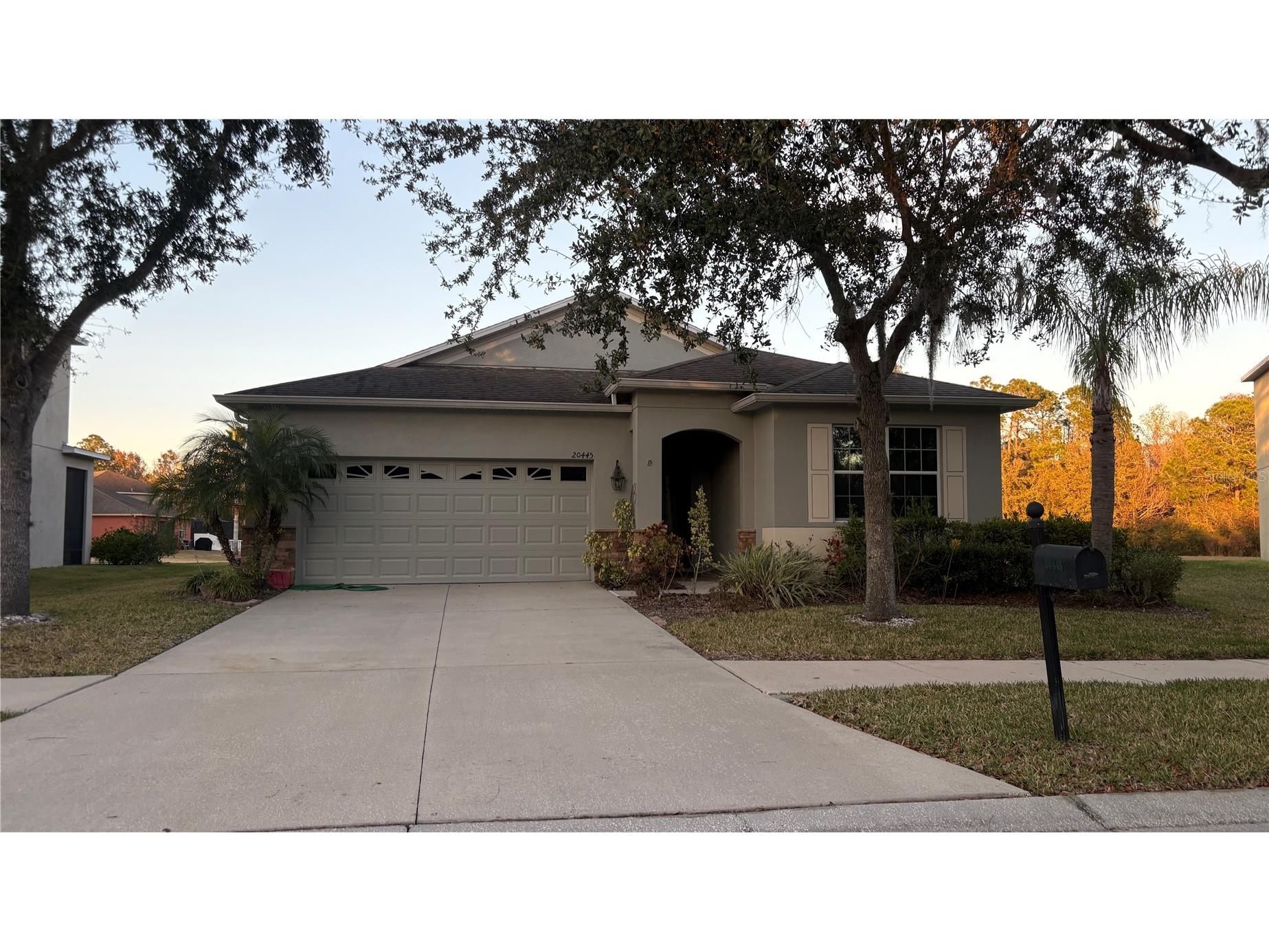 20445 Autumn Fern Avenue Tampa FL 33647 TB8470148 image1