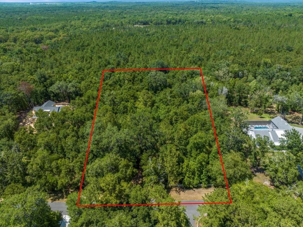 20445 Camelot Drive Brooksville FL 34601 T3533537 image1