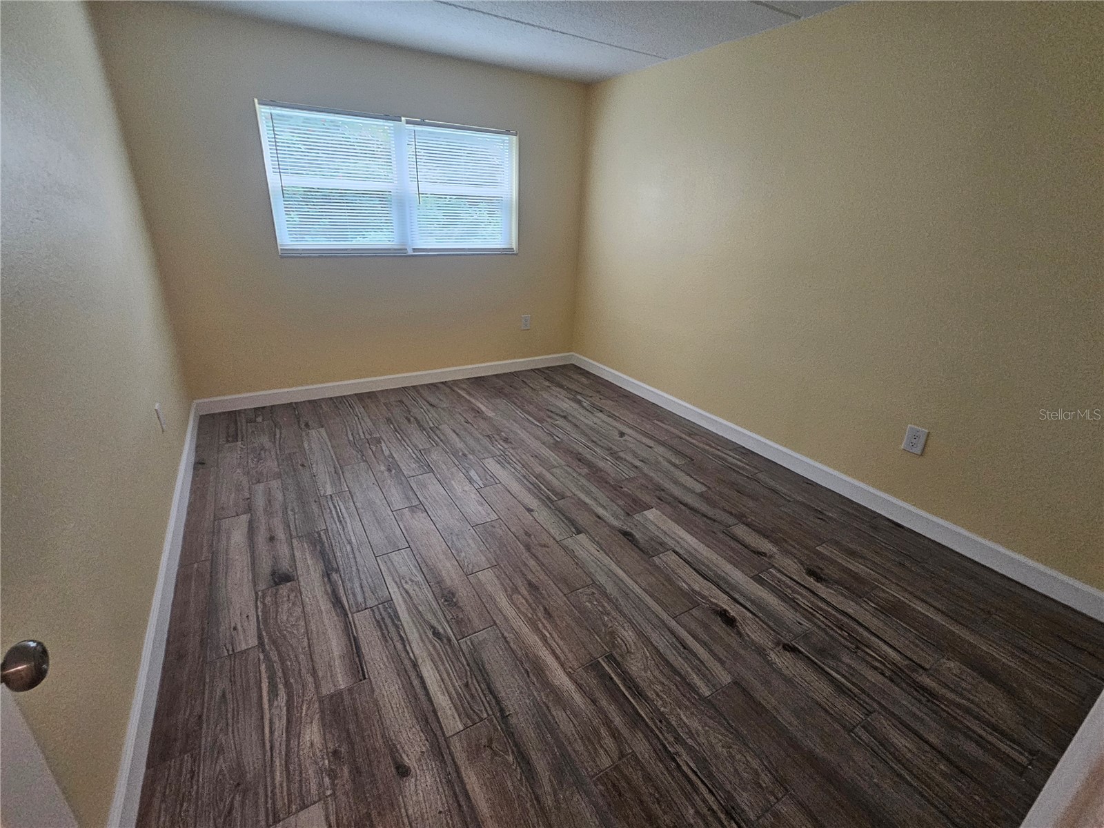 2045 Alpine Road #3 Clearwater FL 33755 TB8486102 image14