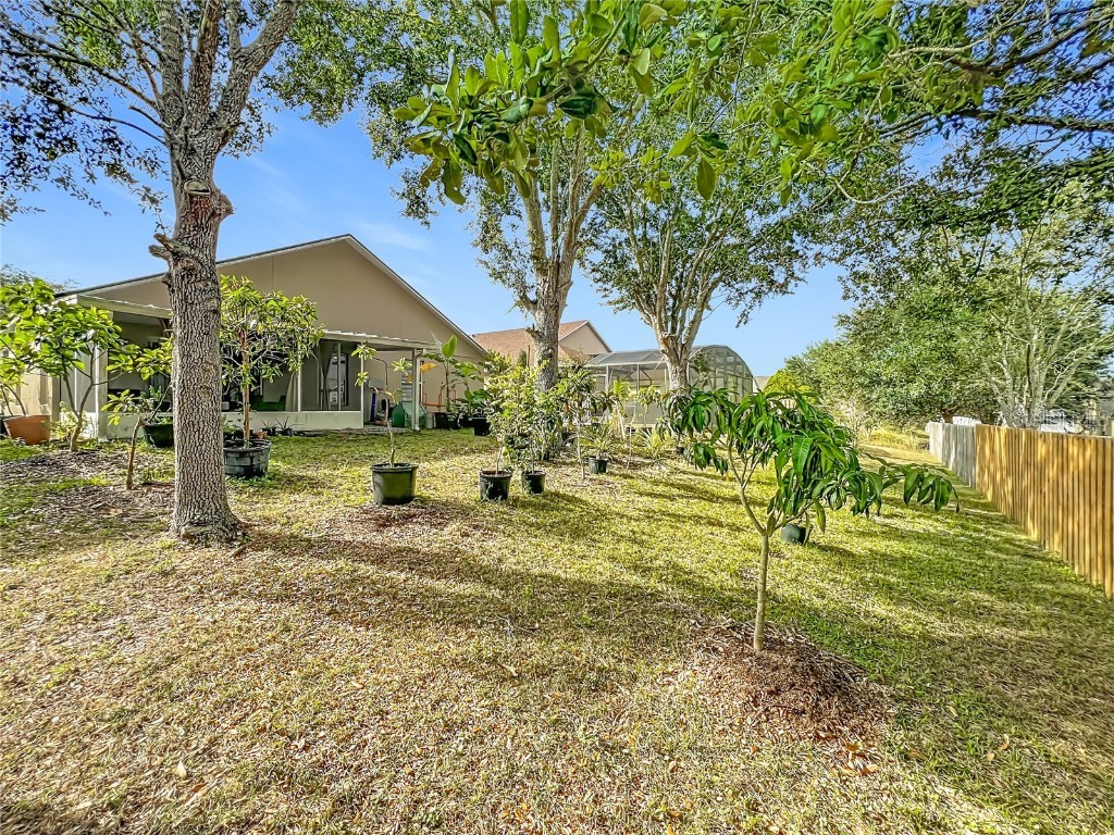 2045 Newtown Road Groveland FL 34736 OM714293 image43