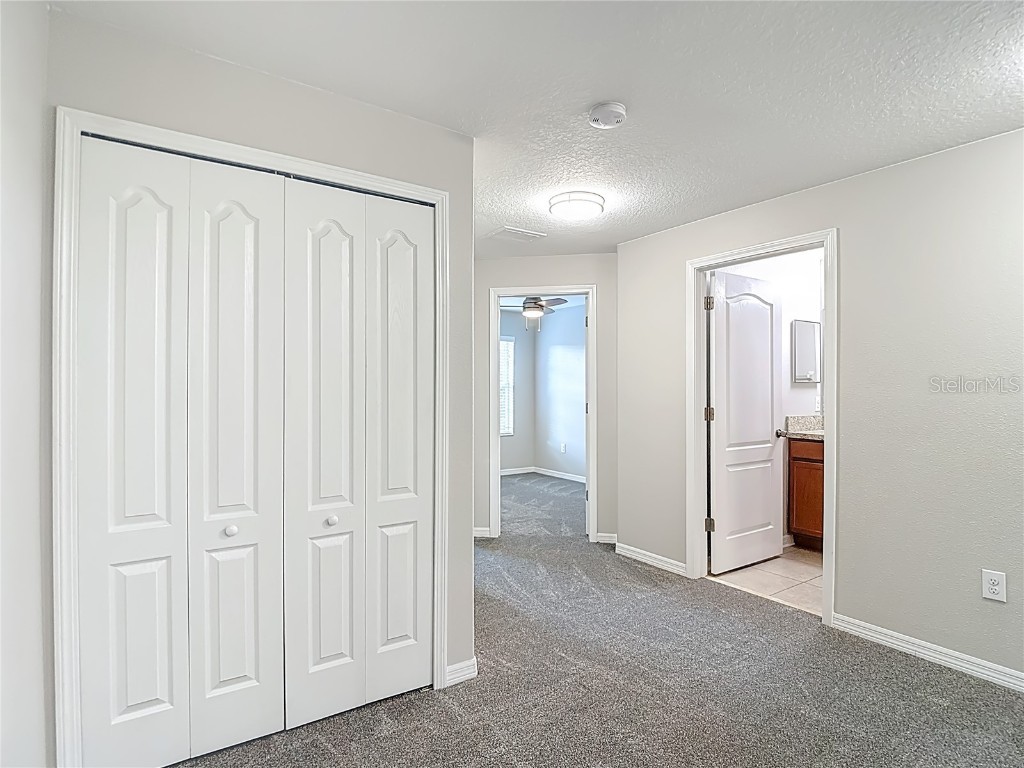 20451 Berrywood Lane Tampa FL 33647 TB8451213 image38