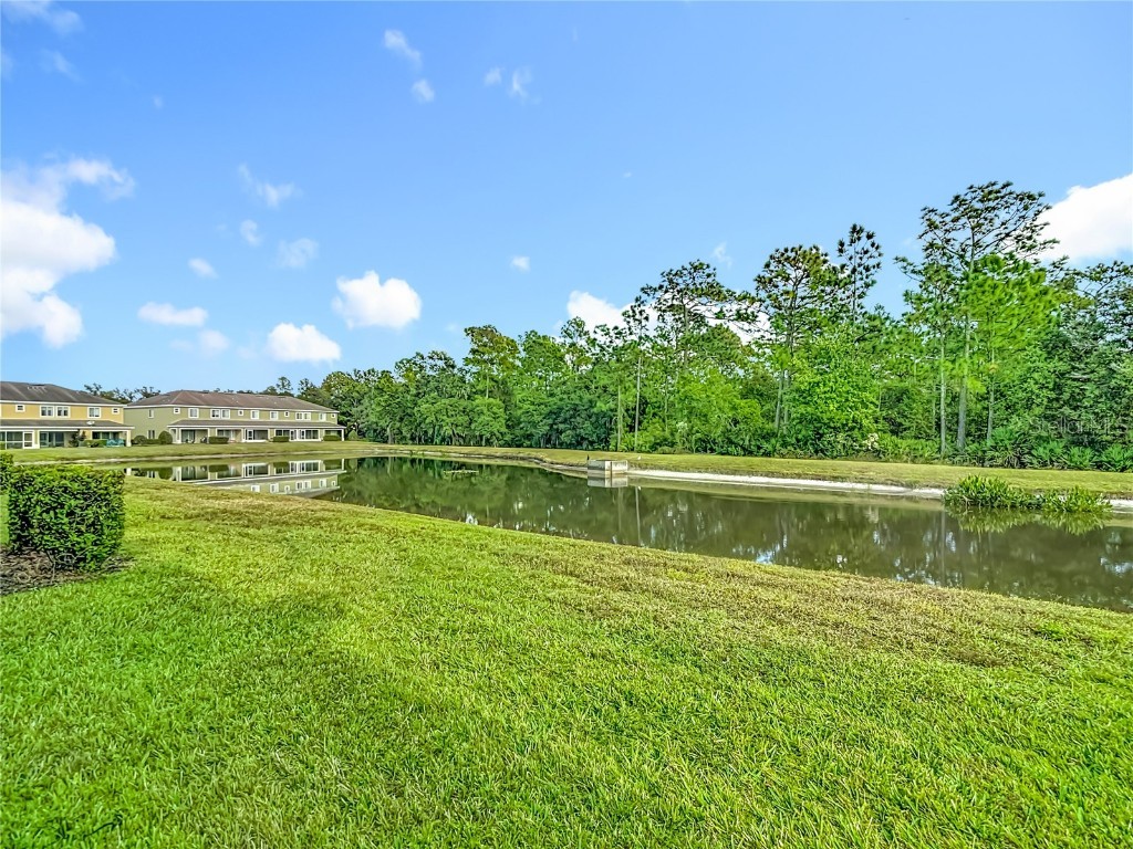 20451 Berrywood Lane Tampa FL 33647 TB8451213 image54