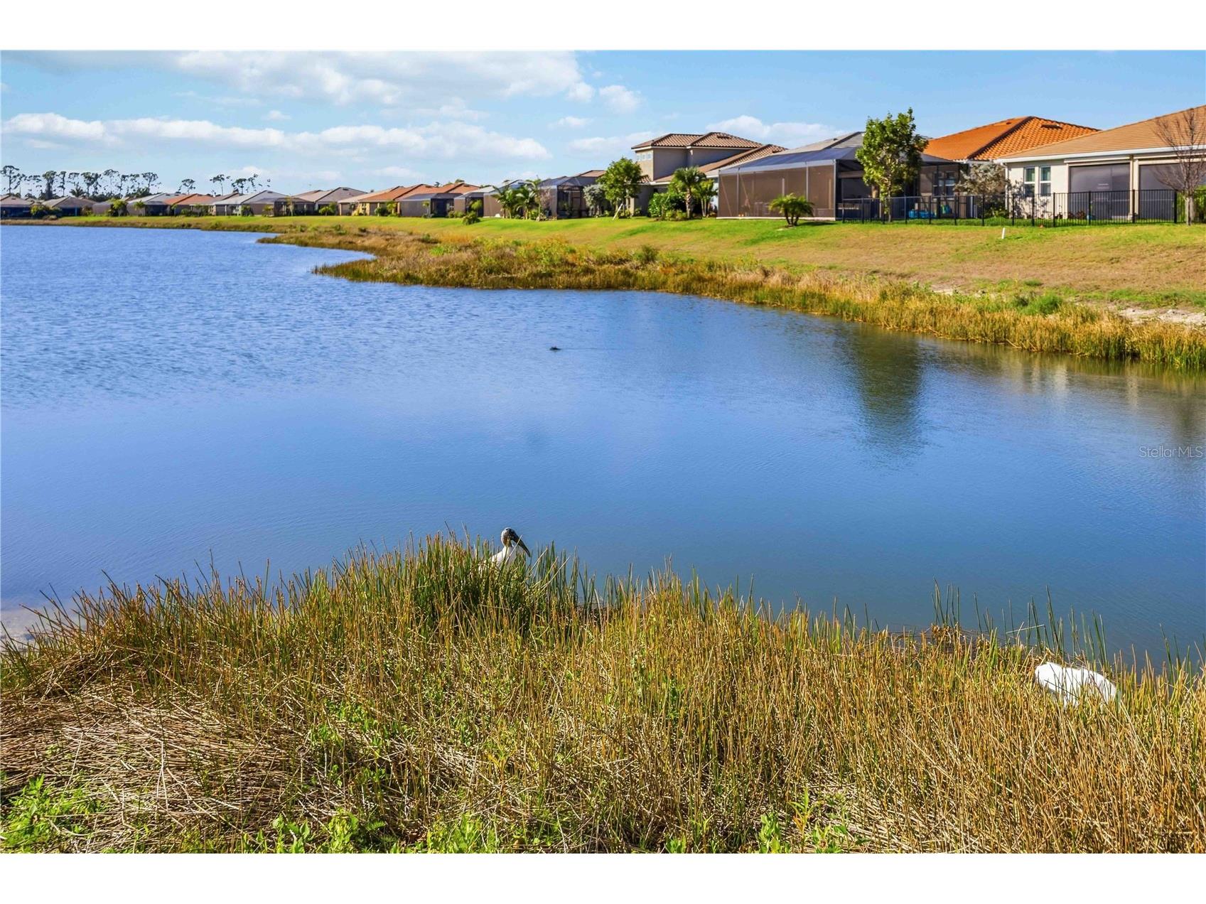 20453 Bandera Place Venice FL 34293 A4683693 image18