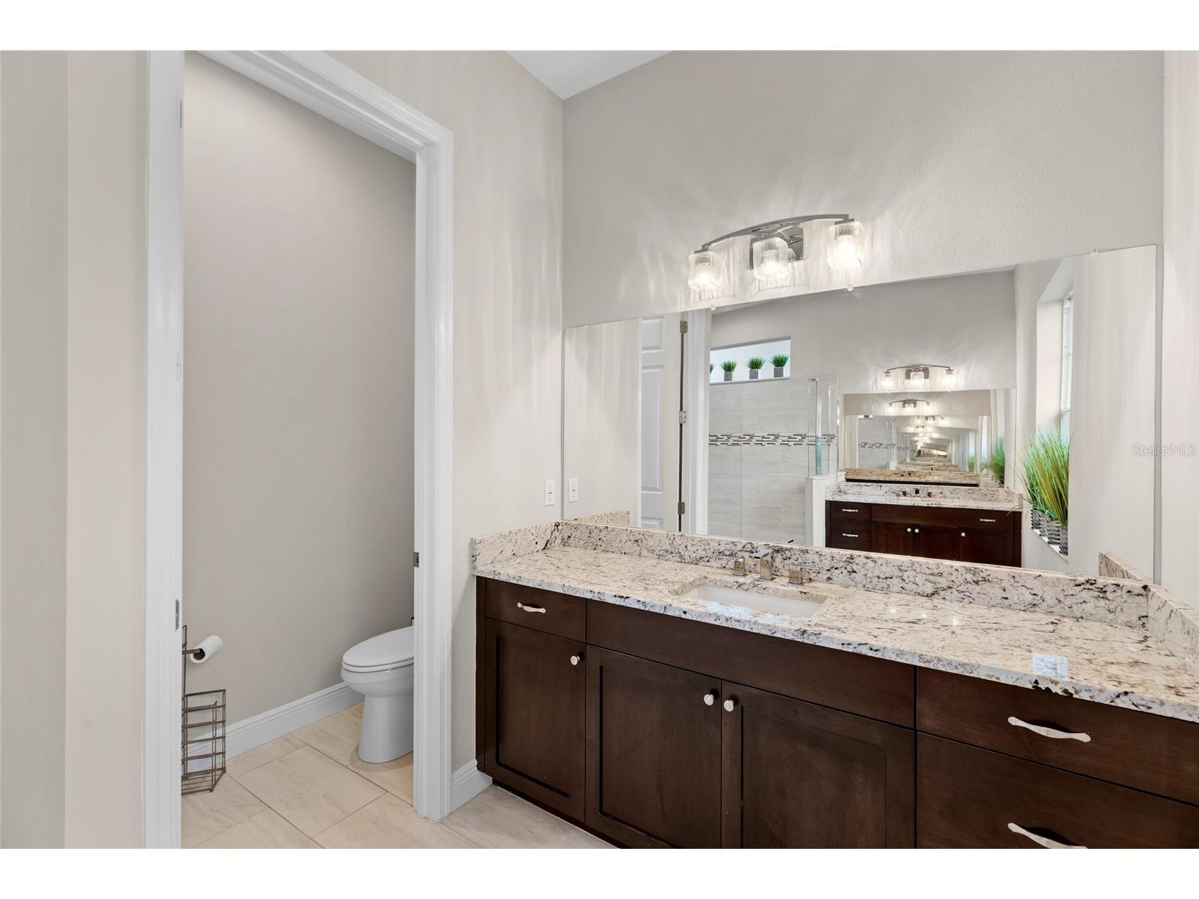 20454 Lace Cascade Rd Land O Lakes FL 34637 TB8526974 image14
