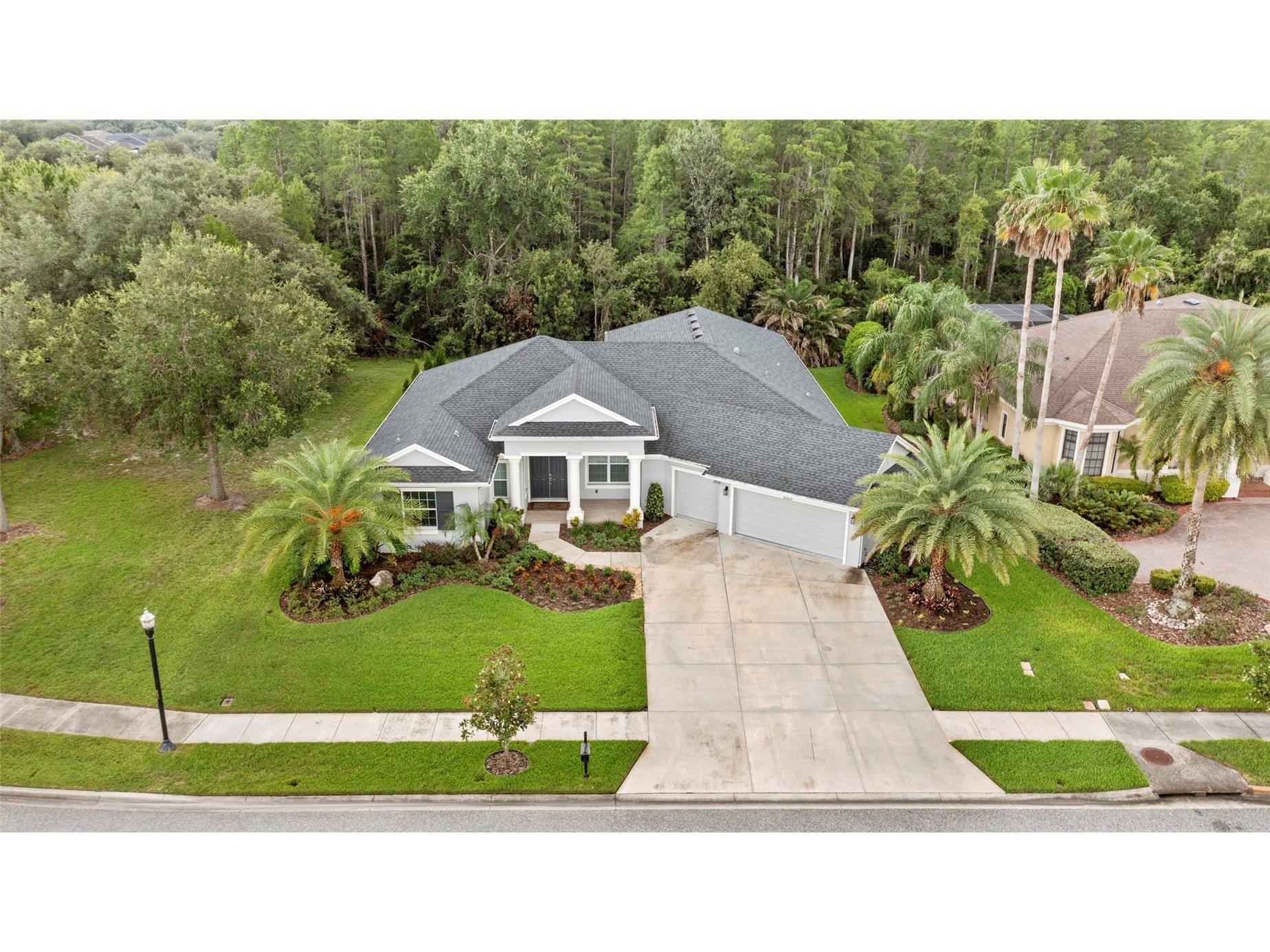 20454 Lace Cascade Rd Land O Lakes FL 34637 TB8526974 image2