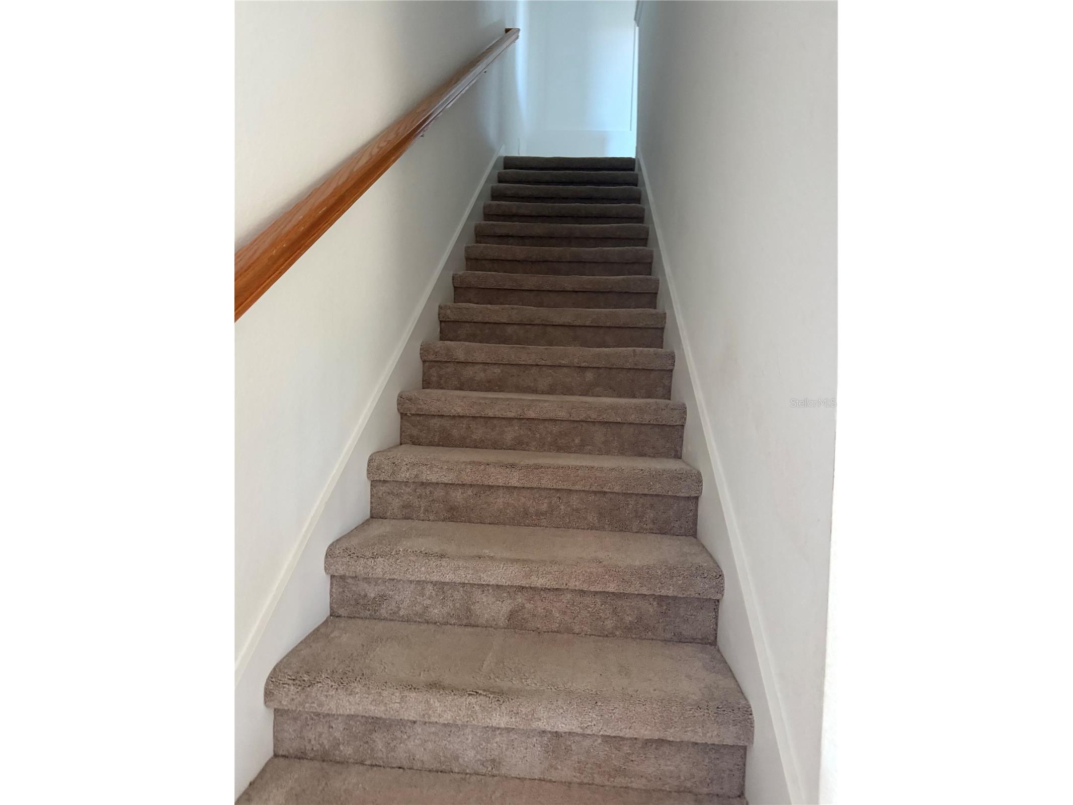 20460 Lagente Circle Venice FL 34293 A4681621 image24