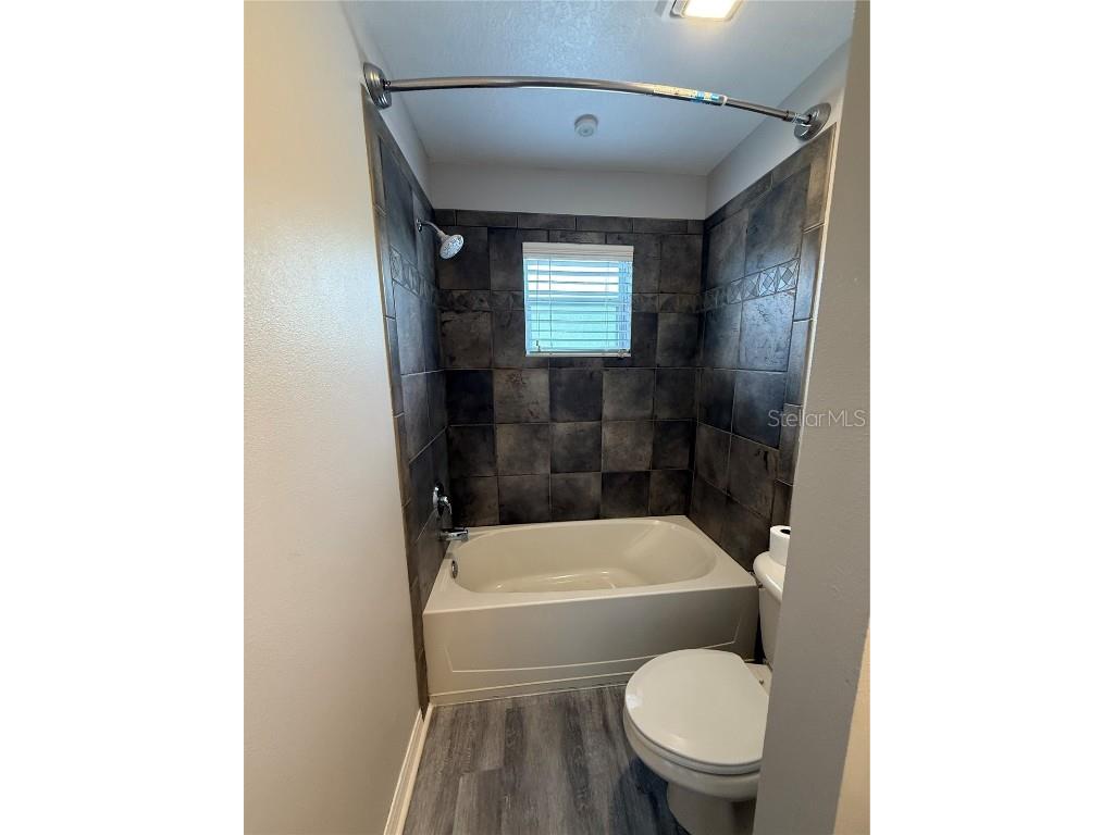 20460 Needletree Drive Tampa FL 33647 OM708606 image19