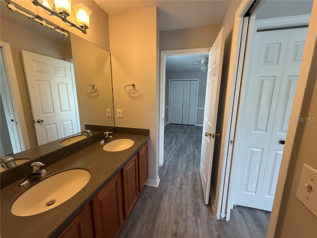 20460 Needletree Drive Tampa FL 33647 OM708606 image20