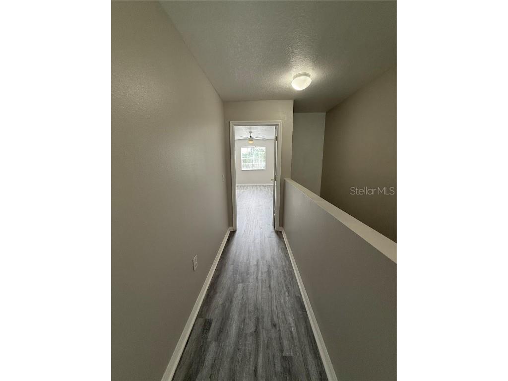 20460 Needletree Drive Tampa FL 33647 OM708606 image23