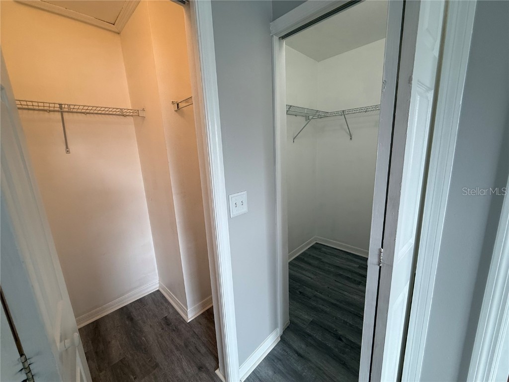 20460 Needletree Drive Tampa FL 33647 OM708606 image26