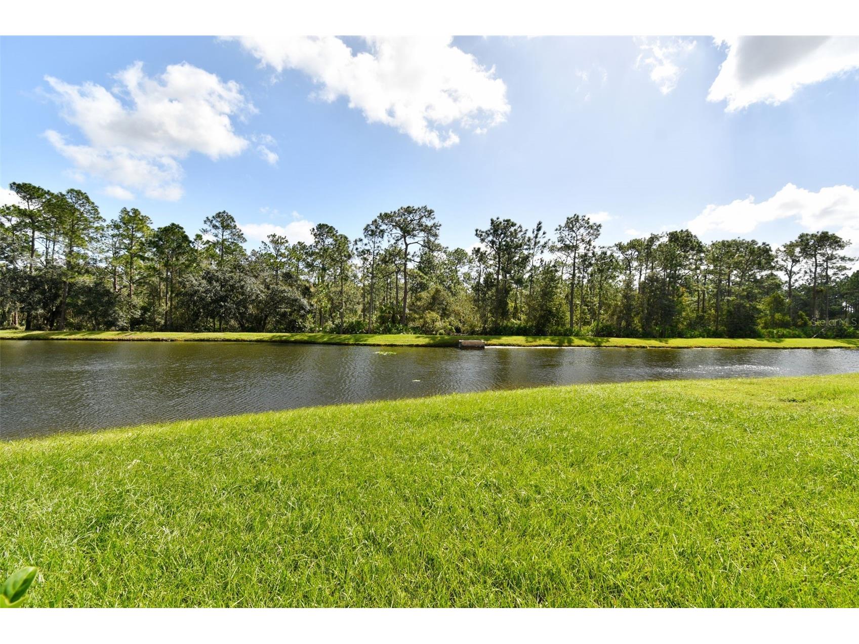 20461 Berrywood Lane Tampa FL 33647 TB8469836 image29