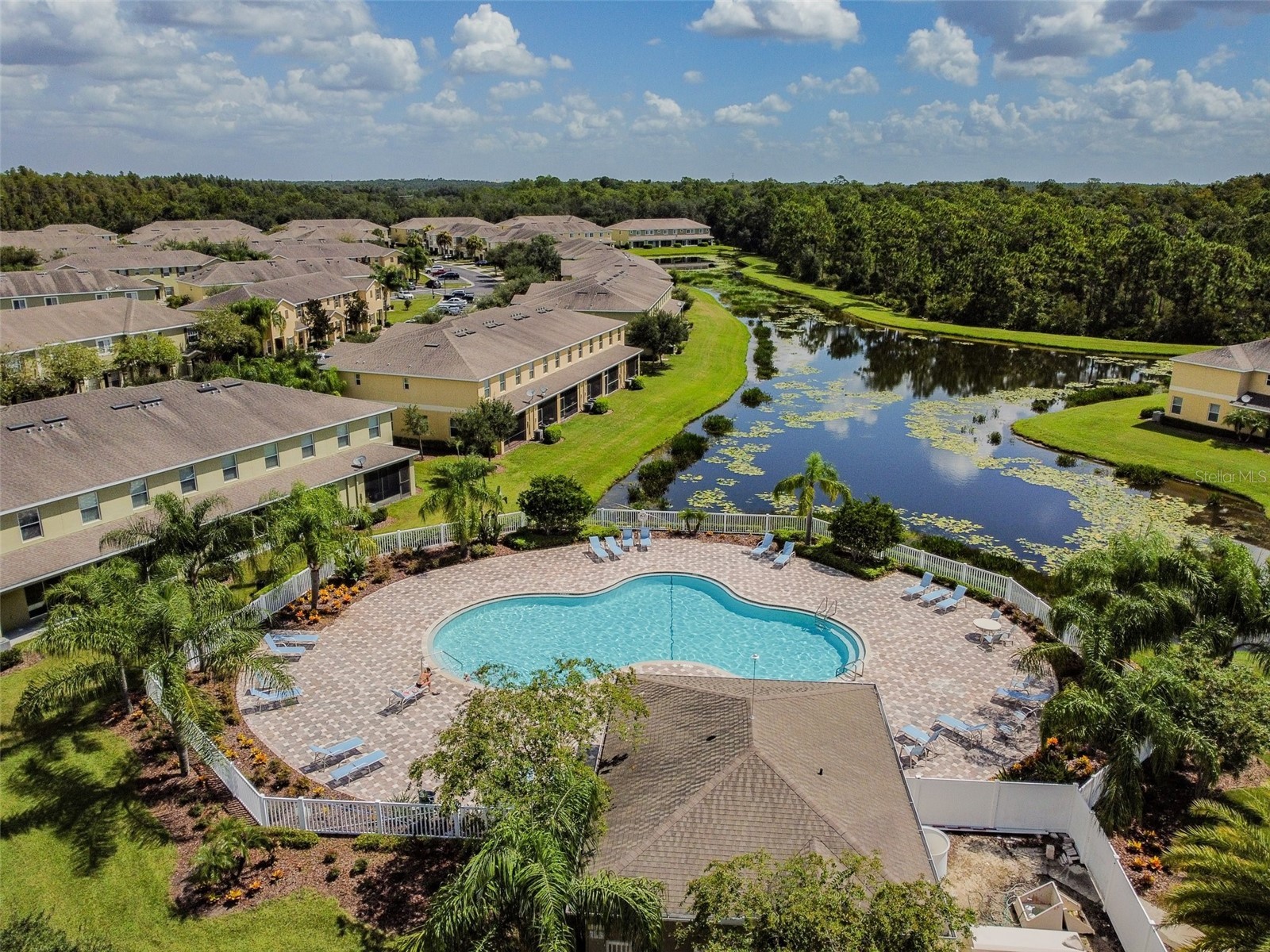 20461 Berrywood Lane Tampa FL 33647 TB8469836 image31
