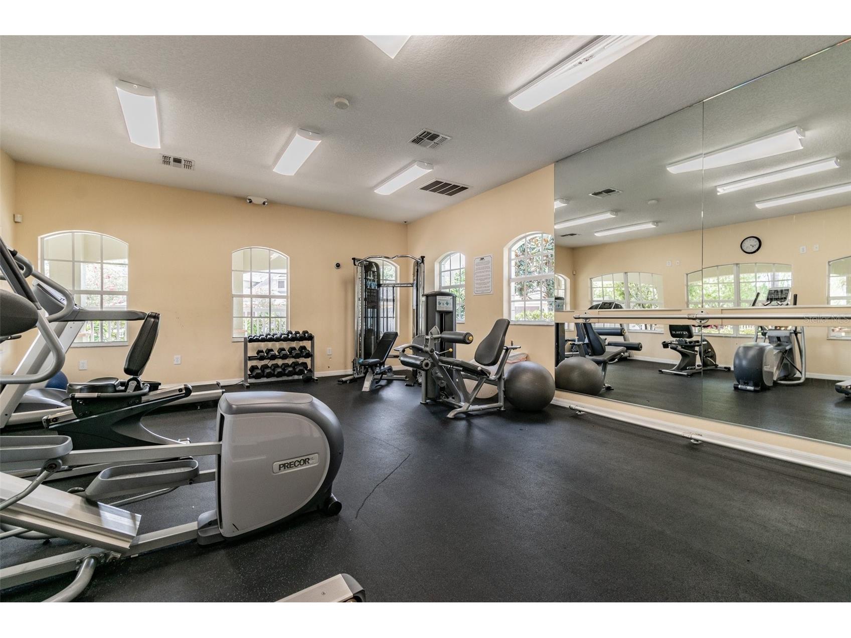 20461 Berrywood Lane Tampa FL 33647 TB8469836 image33