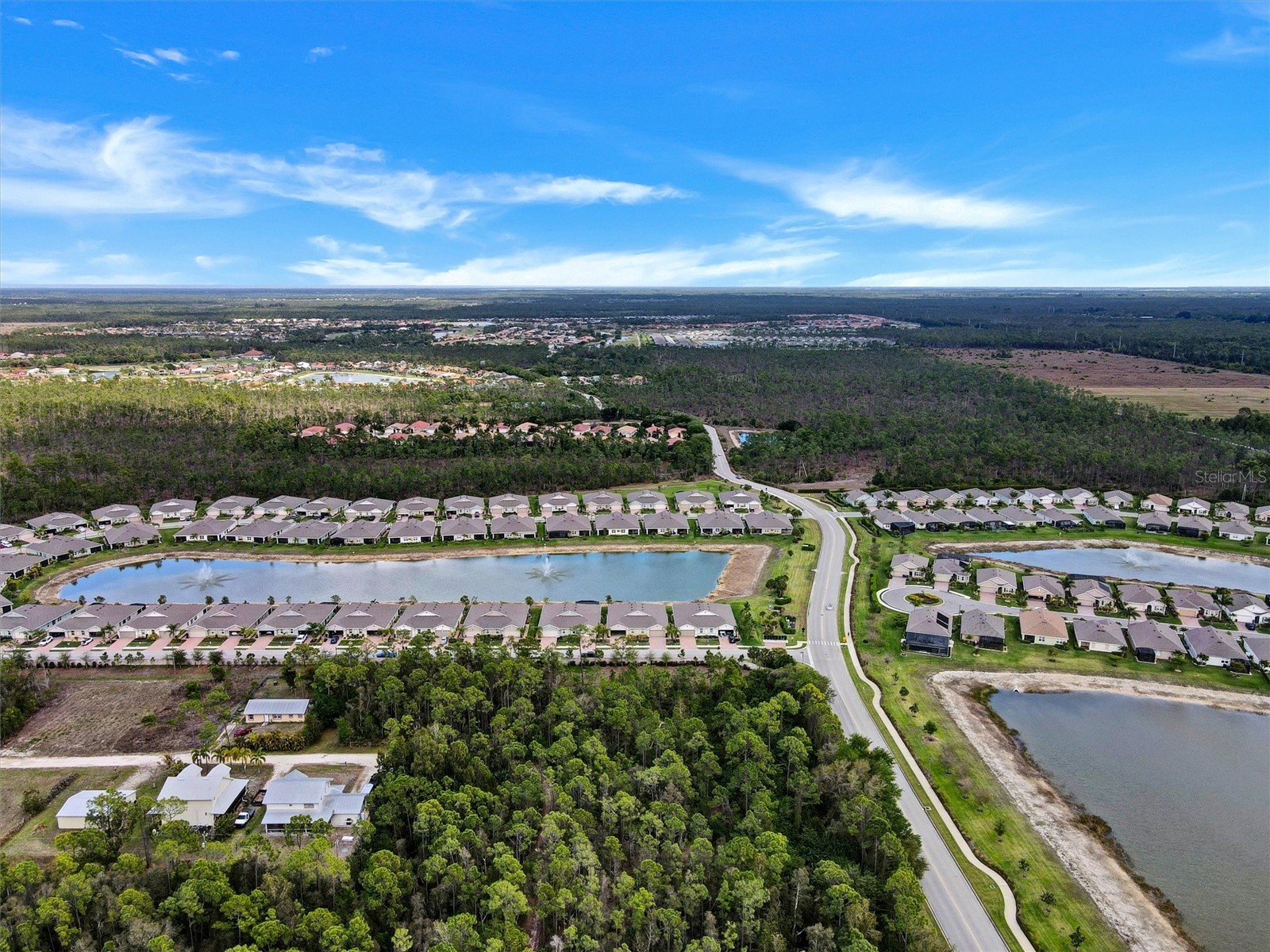 20462 Plumwood Loop North Fort Myers FL 33917 C7524751 image37