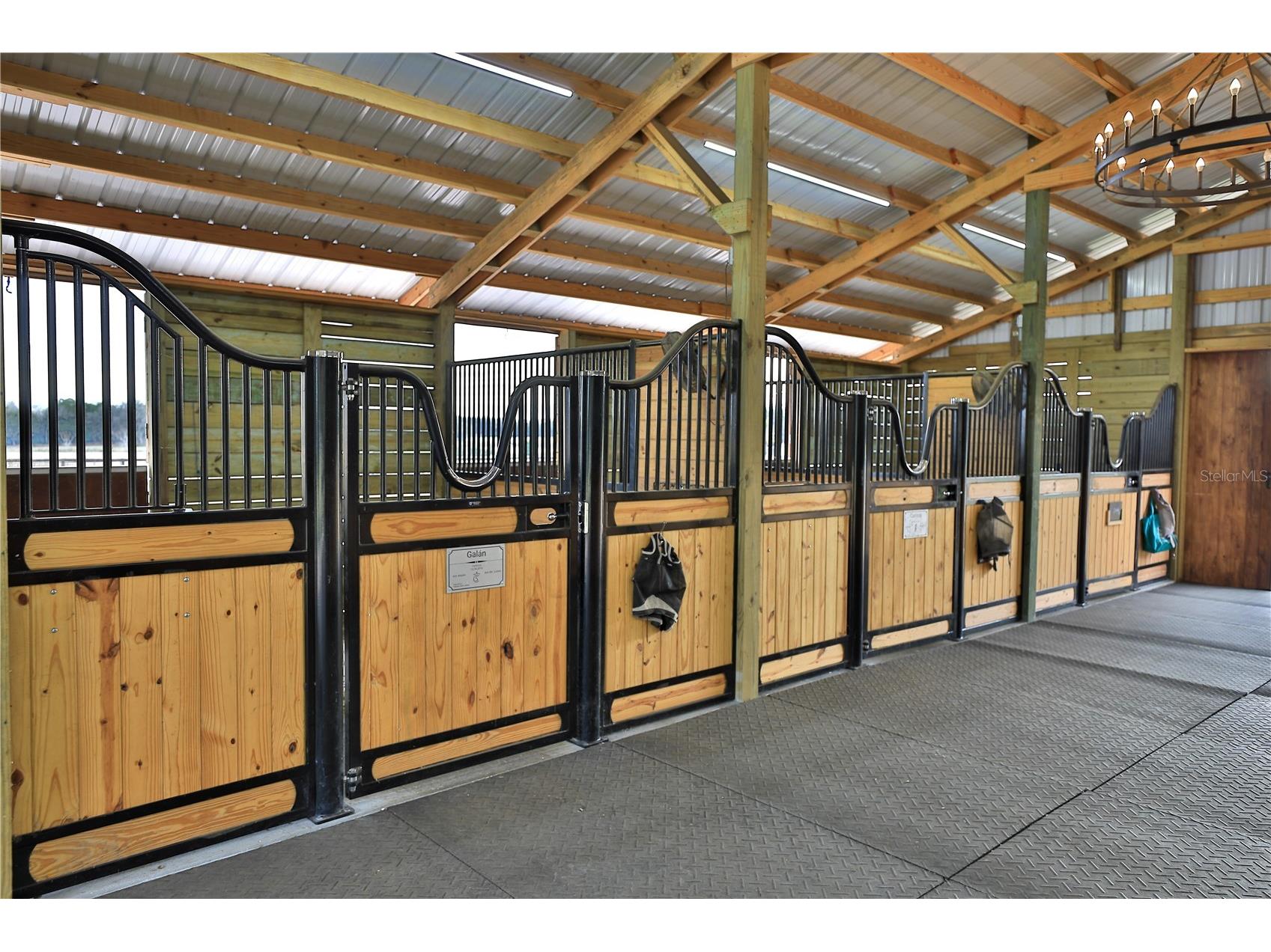 20462 SW 36th Street Dunnellon FL 34431 OM715927 image28