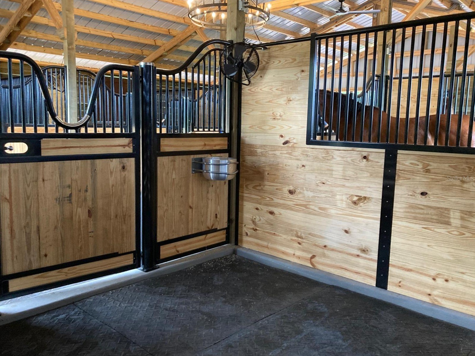 20462 SW 36th Street Dunnellon FL 34431 OM715927 image33