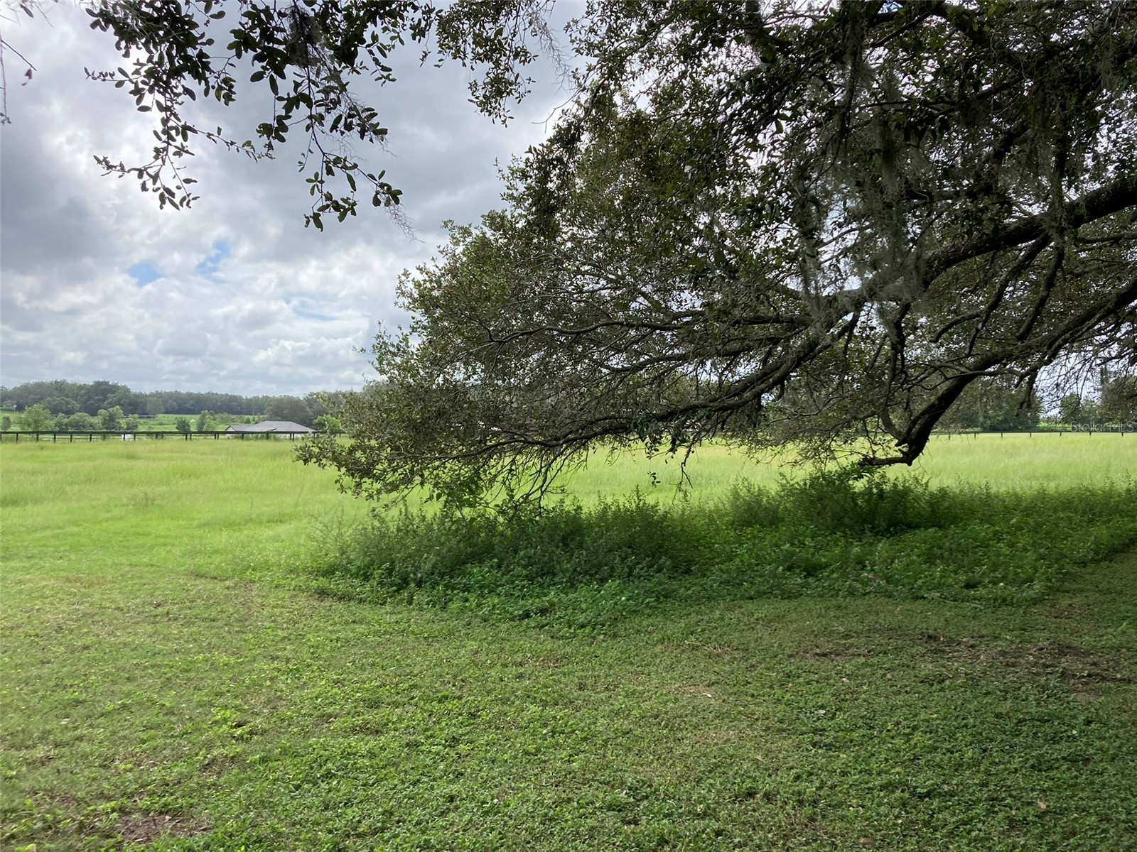 20462 SW 36th Street Dunnellon FL 34431 OM715927 image38