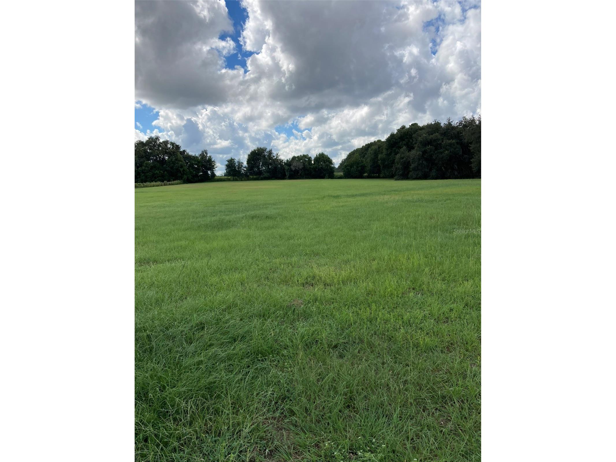 20462 SW 36th Street Dunnellon FL 34431 OM715927 image39