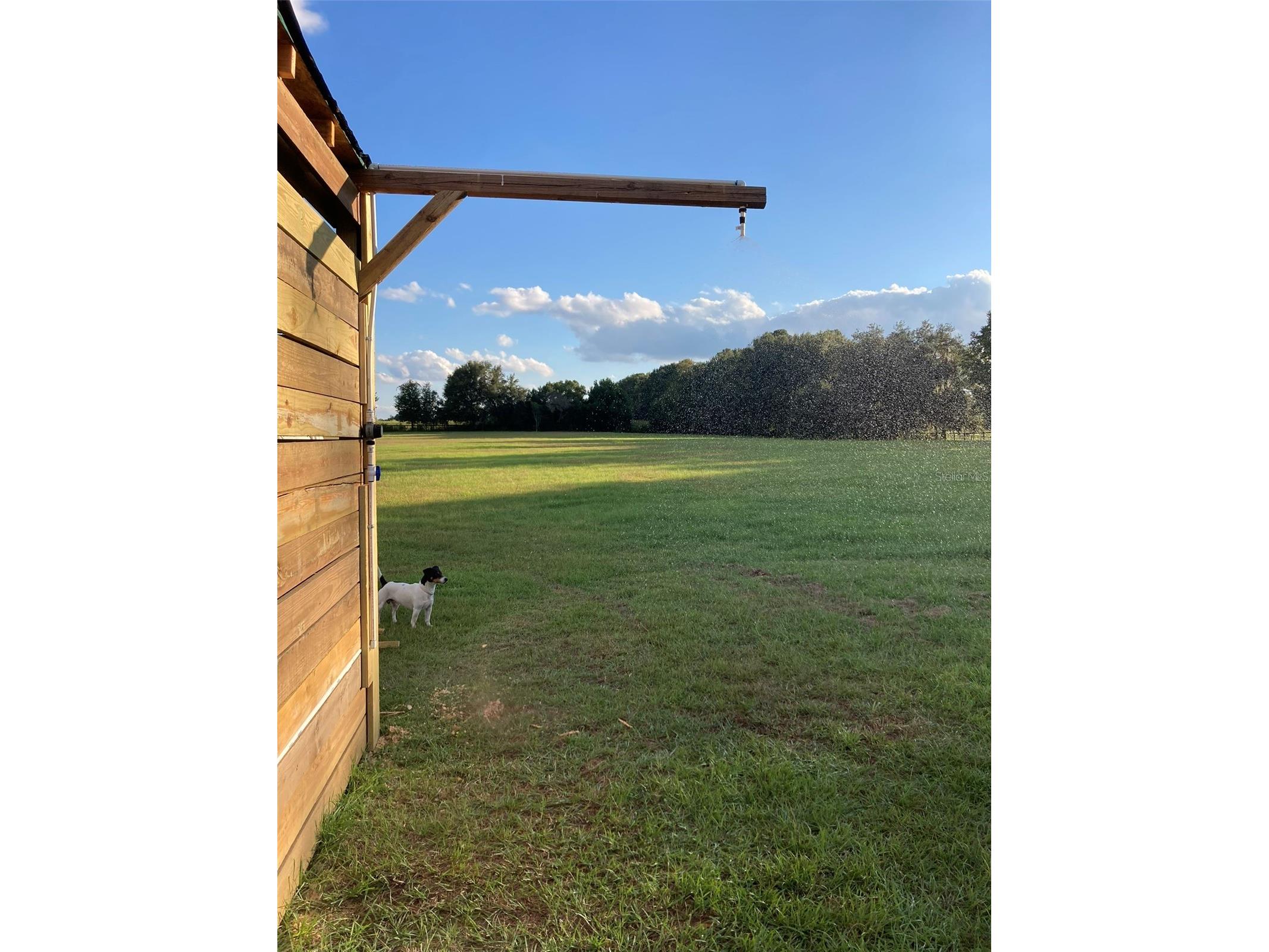 20462 SW 36th Street Dunnellon FL 34431 OM715927 image41